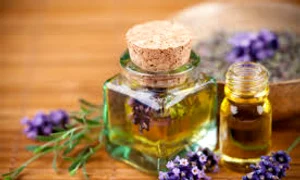 doctorulzilei ro index jpeg