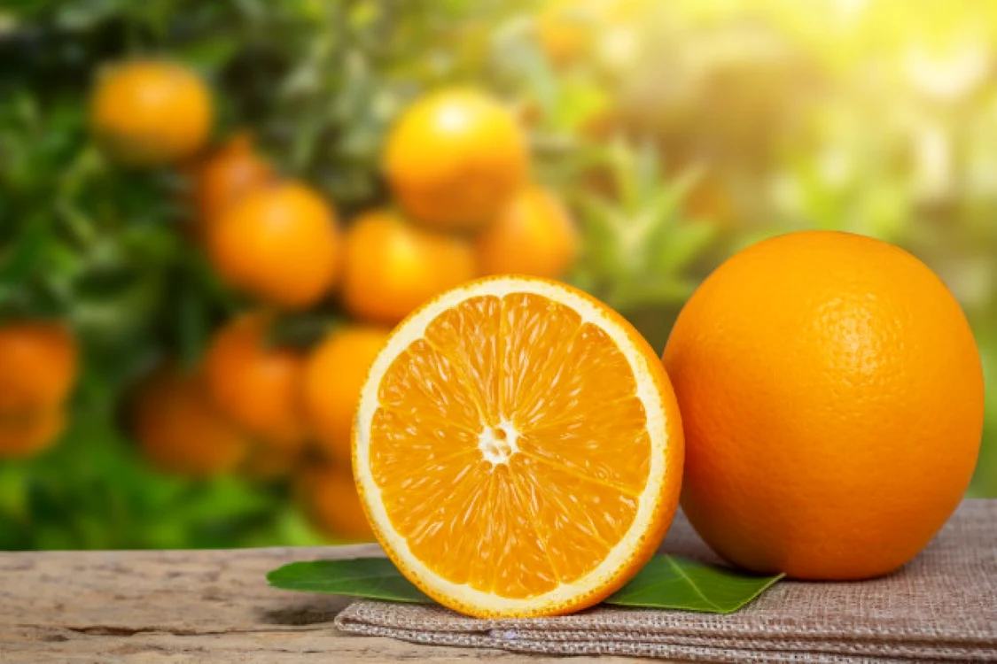 Portocalele, o adevărată fabrică de vitamine FOTO sanatatesinatura.ro
