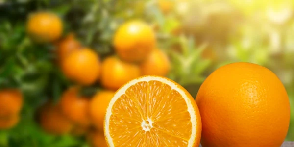 calarasi portocalele fructe cu bogate in vitamina C foto sanatatesinatura.ro