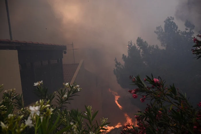 Grecia, incendii puternice de vegetație și în 2022! Foto: Twitter