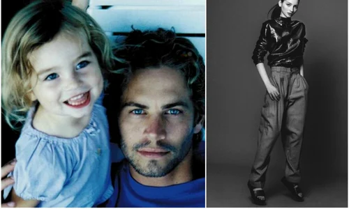 1 main meadow jpg jpeg