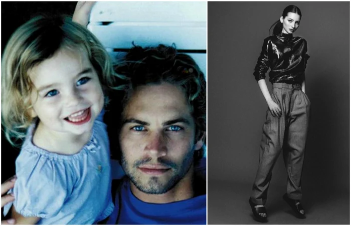 1 main meadow jpg jpeg