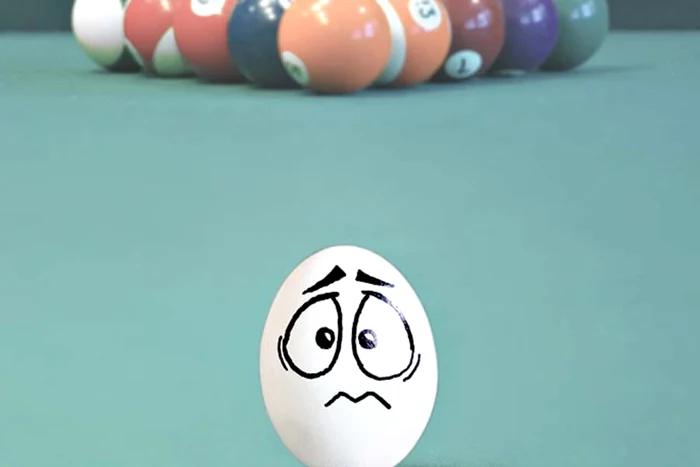 Hait! Astea au capete tari!