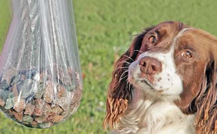 
    Pietrele cântăreau  1,3 kilograme  