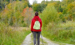 horoscop zilnic 12 decembrie gemeni jpeg