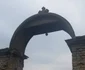 Pe urmele lui Wieissmuller la Medja FOTO Ştefan Both
