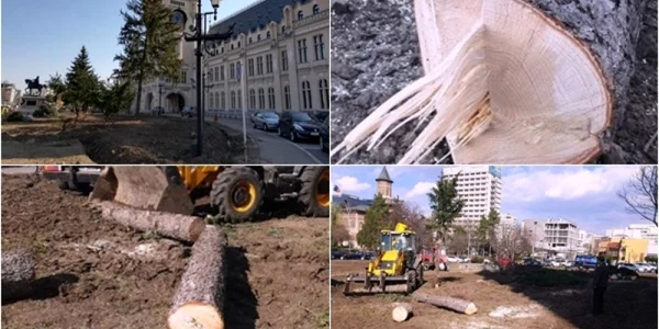 brazi iasi