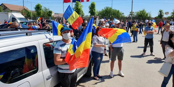 protest paduri sebes