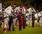 6 karpathia horse show 2018 5 jpg jpeg