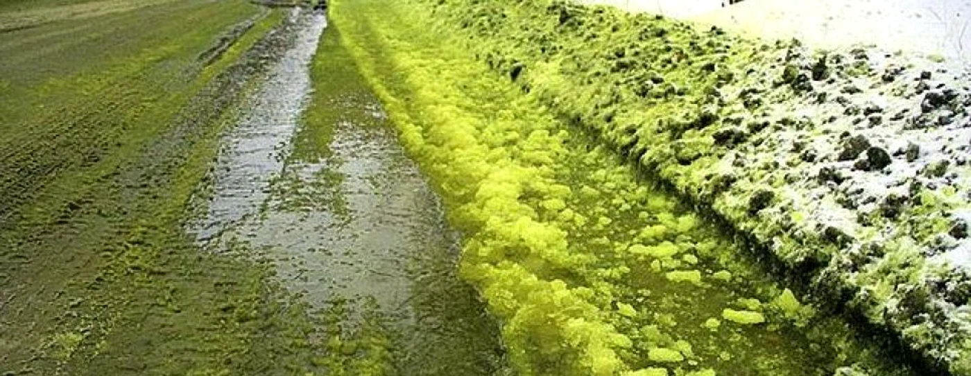 Zăpadă de culoare verde în Pervouralsk FOTO Captura @East2West via Daily Mail