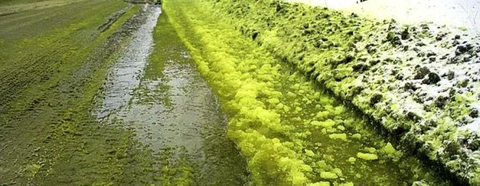 Zăpadă de culoare verde în Pervouralsk FOTO Captura @East2West via Daily Mail