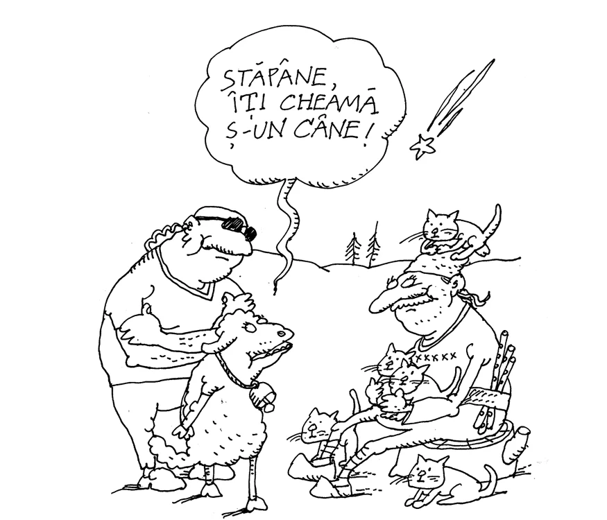 Veghe și supraveghere jpeg