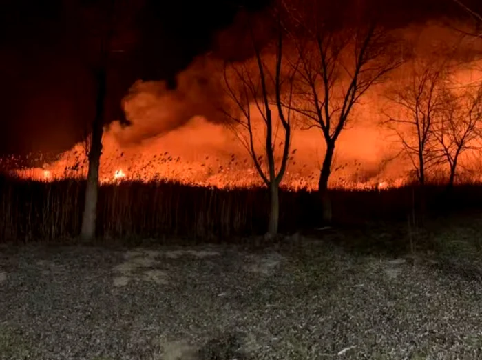Incendiu puternic în Delta Dunării FOTO forum.pompierii.info