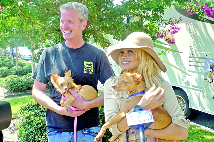 Actriţa a fost ajutată de un voluntar de la organizaţia de  protecţie a animalelor să le  ducă acasă pe căţeluşele Gina  Lollobrigida şi Brigitte Bardot