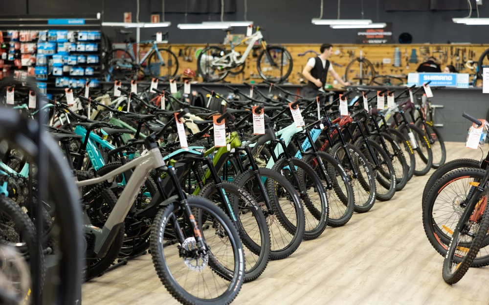 Patru români, arestați după un furt de biciclete de 38.000 de euro în Olanda. Explicația suspecților, „o prostie”