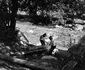 retezat 1963 foto viorel simionescu