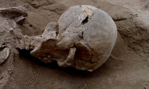 Masacru preistoric în Kenya jpeg