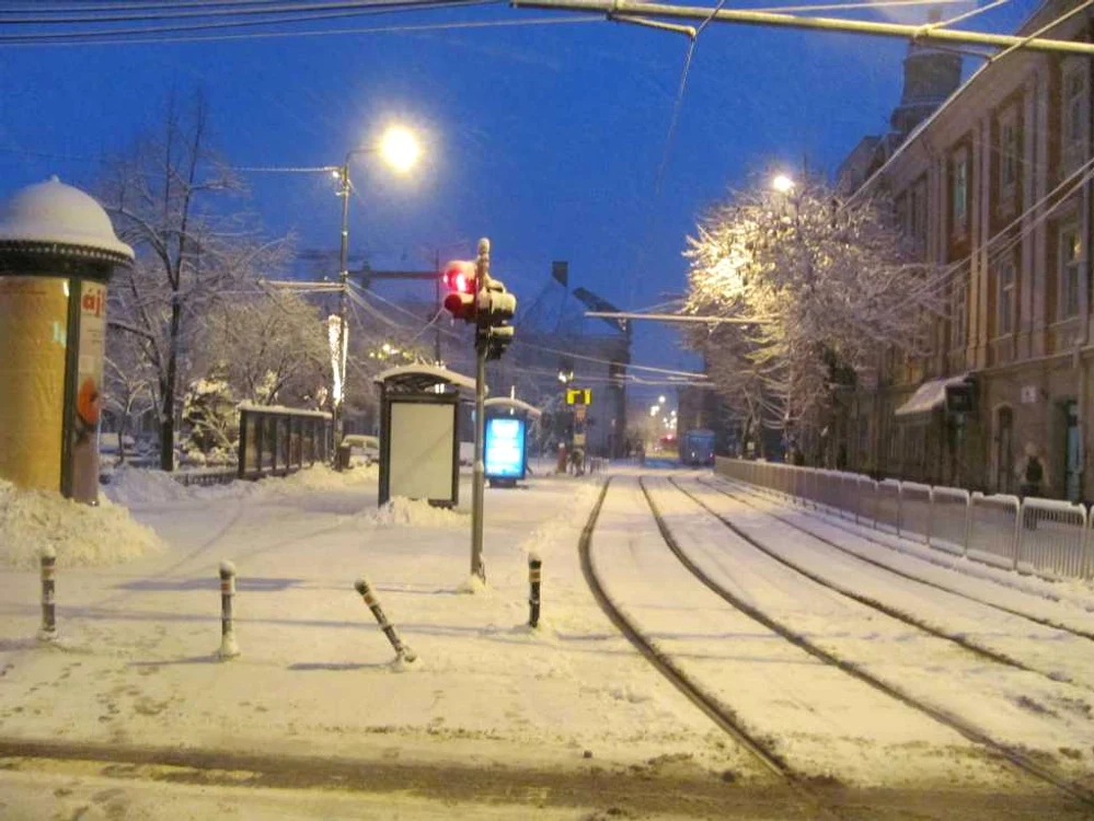 Zăpada de la Timişoara