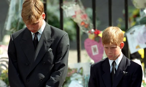 William și Harry la funeraliile prințesei Diana profimedia 0104689031 jpg