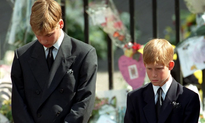 William și Harry la funeraliile prințesei Diana profimedia 0104689031 jpg
