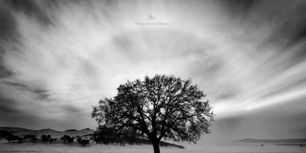 Curcubeul alb - fenomen surprins de fotograful Mircea Bezergheanu Sursa Facebook MB