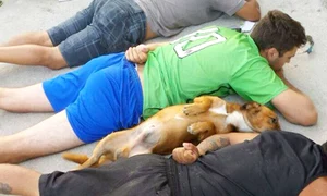 caine traficanti jpeg