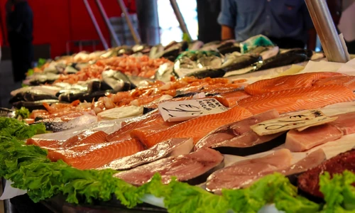 1 market fish fish market food frisch sea animals market stall italy 863411 jpg jpeg