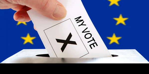alegeri europarlamentare FOTO Shutterstock