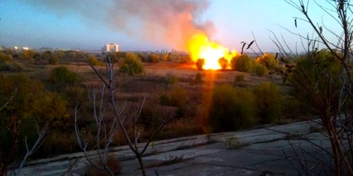 parcul national vacaresti incendiu