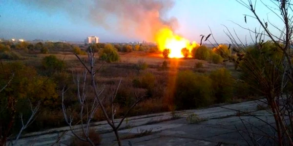 parcul national vacaresti incendiu