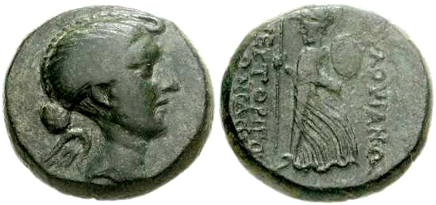 fulvia antonia jpg jpeg