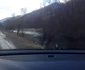 Valea Oltului tranzitată prin albia râului Olt la Vâlcea pe DN 7 Foto FB Ilinică Adrian Florin 