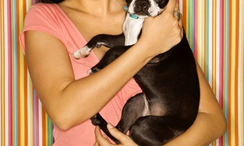 1 47446 original jpg jpeg