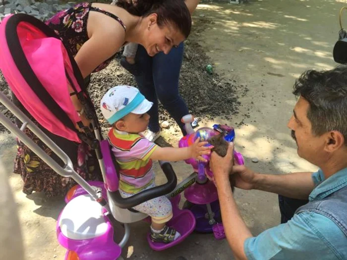 &quot;Codiţă&quot;, bucuria celor mici