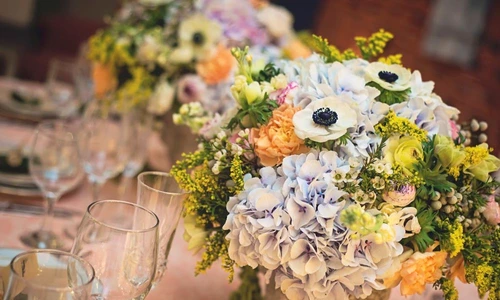 1 69203 original jpg jpeg