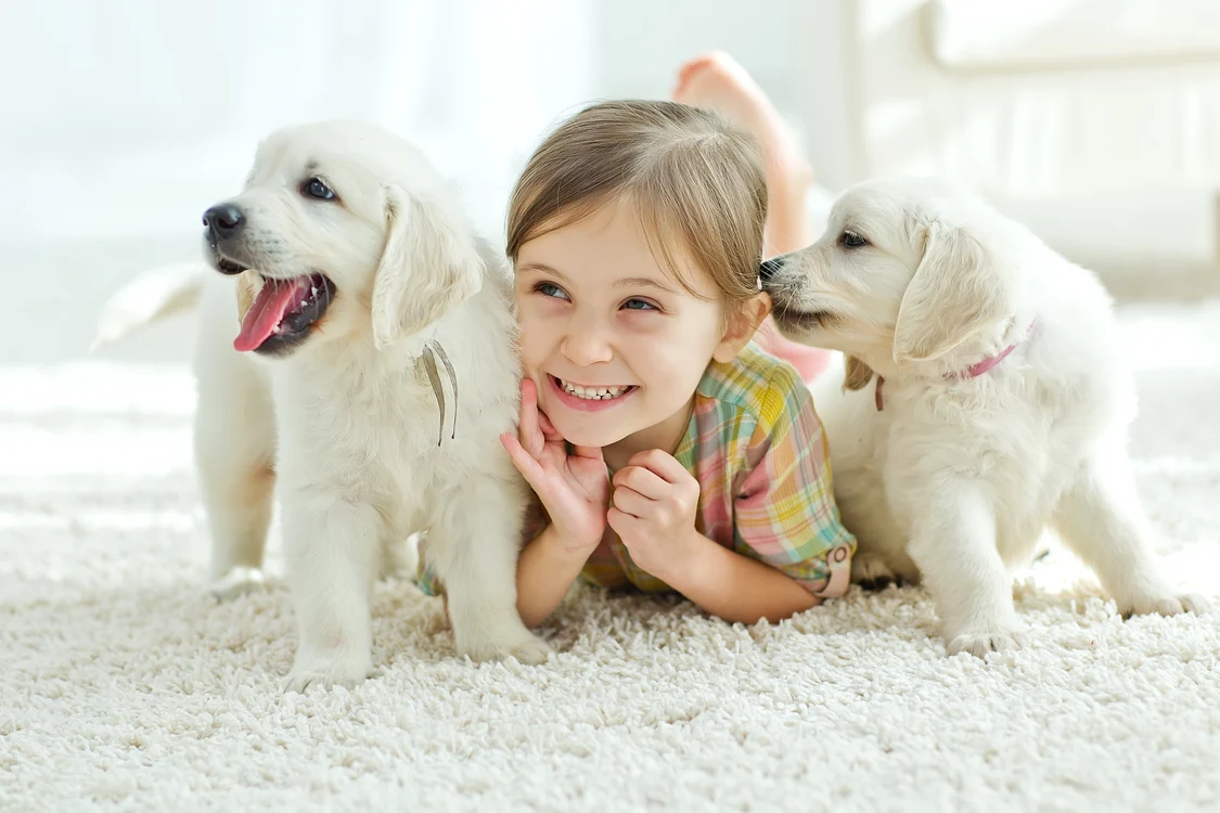 
    Sursă foto: Nina Buday/ Shutterstock  