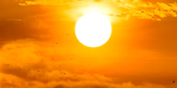 Canicula - caldura - soare - arsita - FOTO SHUTTERSTOCK 