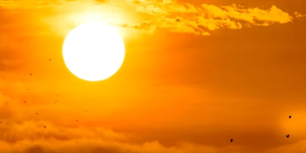 Canicula - caldura - soare - arsita - FOTO SHUTTERSTOCK 