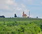 Drumul Vinului FOTO Visit Timiș