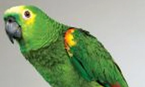 1 47337 original jpg jpeg