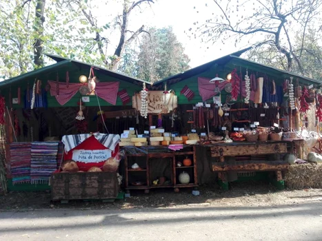 festivalul vinului 