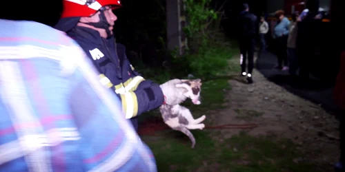 vlcsnap 2023 04 24 00h53m43s523 png