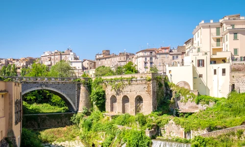 shutterstock 782095966 jpg