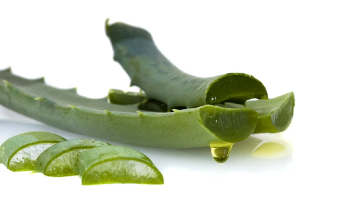 calarasi aloe