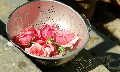 Dulceaţa de trandafiri  jpeg