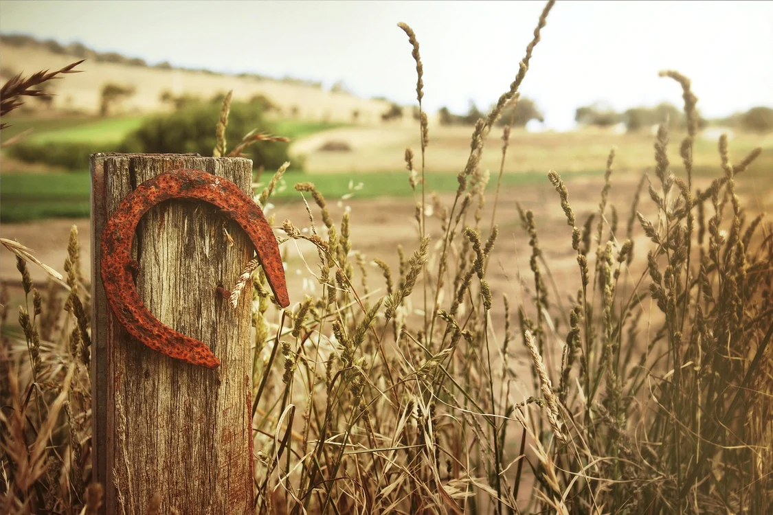 Talismanul care te scapă de boli / foto: Pixabay
