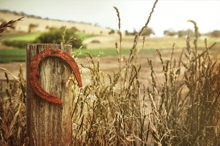 Talismanul care te scapă de boli / foto: Pixabay
