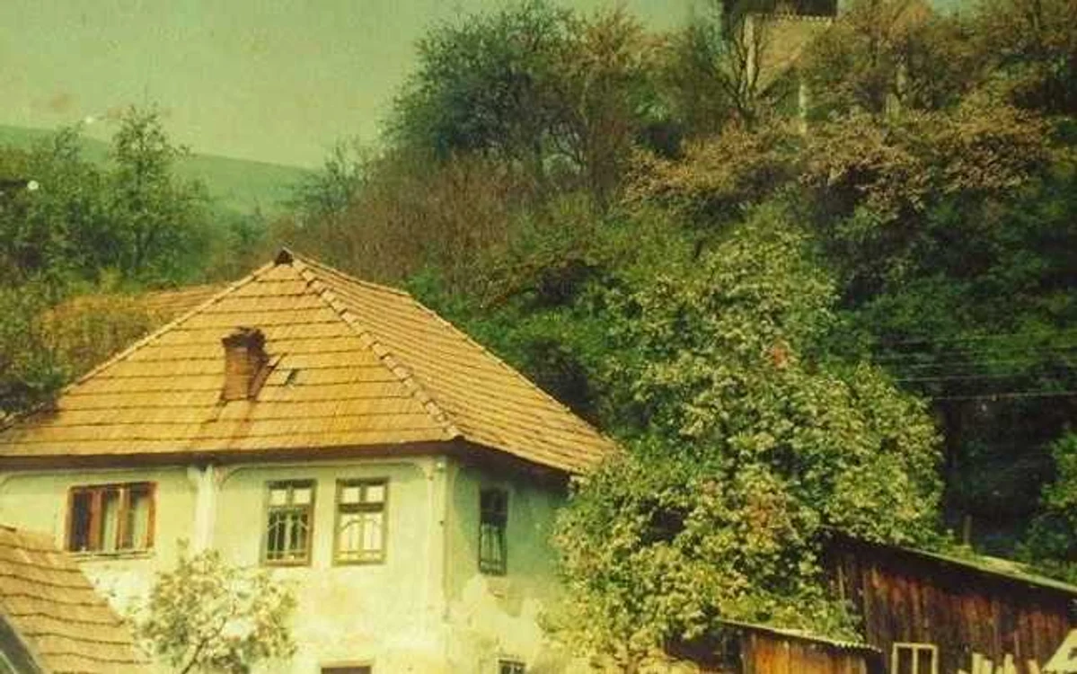 sat geamana apuseni