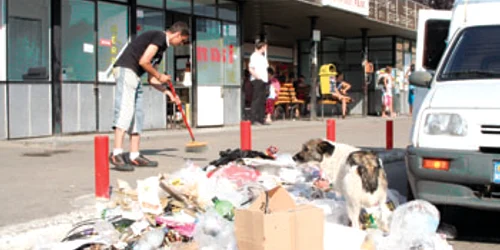 Reşiţa: Mormane de gunoi zac abandonate la drumul mare VIDEO