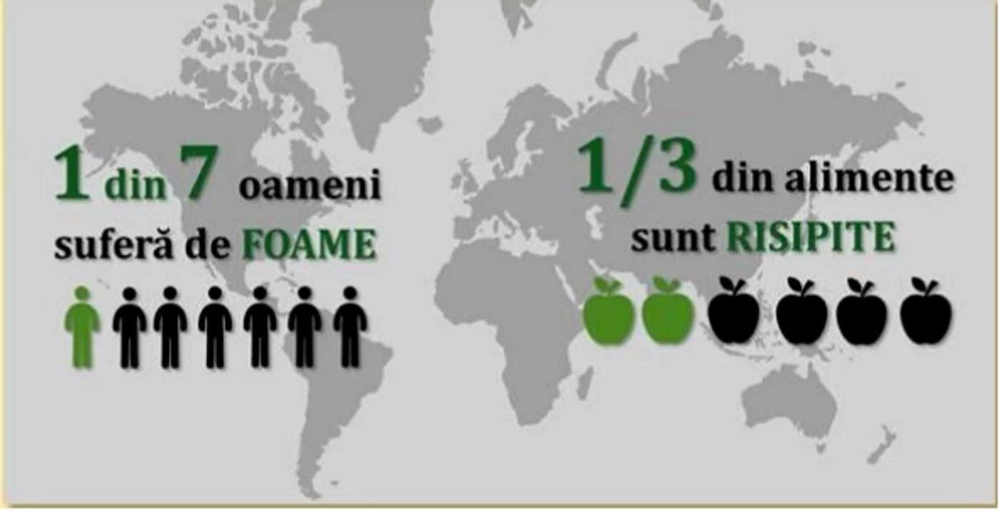 Alimentele sunt risipite în timp ce 1 din 7 oameni suferă de foame